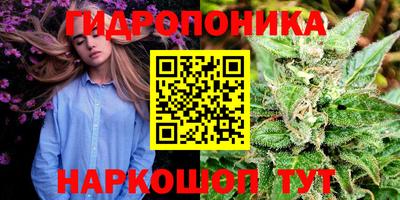 шишки Комсомольск-на-Амуре