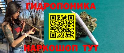 шишки Комсомольск-на-Амуре